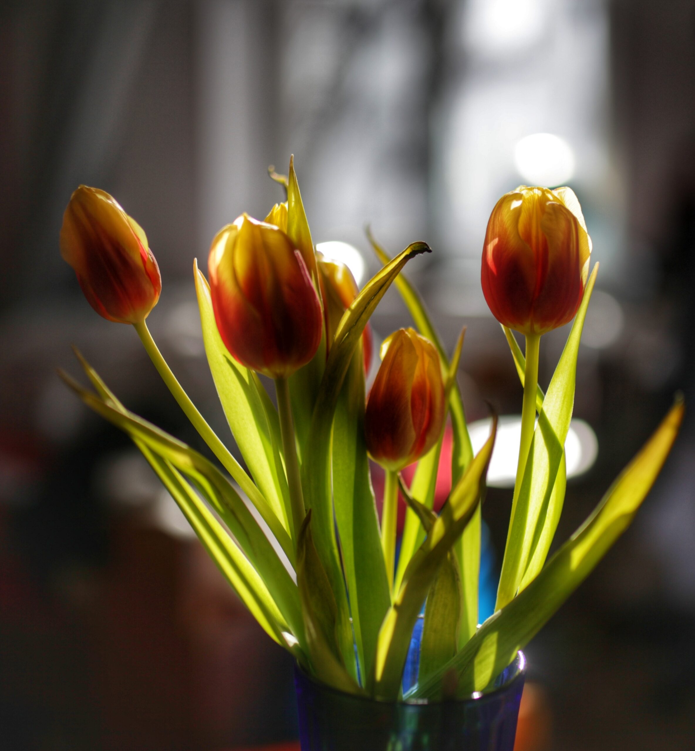 Próba sesji z kwiatami